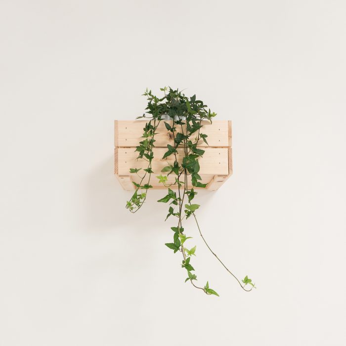 federica-galli-571119-unsplash.jpg federica-galli-571119-unsplash.jpg